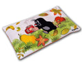 Cushion The Little Mole and Pear 25x3, Multicolour Cushion - Pintado & Lacado