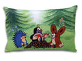 Cushion The Little Mole and Friends 45x30, Multicolour Cushion - Pintado & Lacado